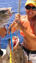 Grouper amberjack jigging cancun